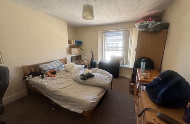 Waterloo Street, TF, North Hill, Plymouth - Image 3